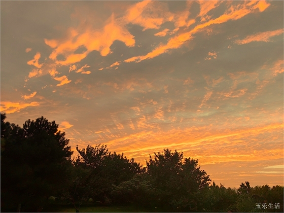 西安大明宫遗址公园