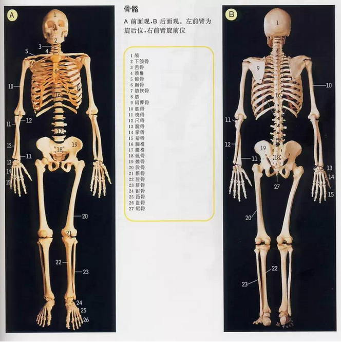 QQ图片20150815165827.png